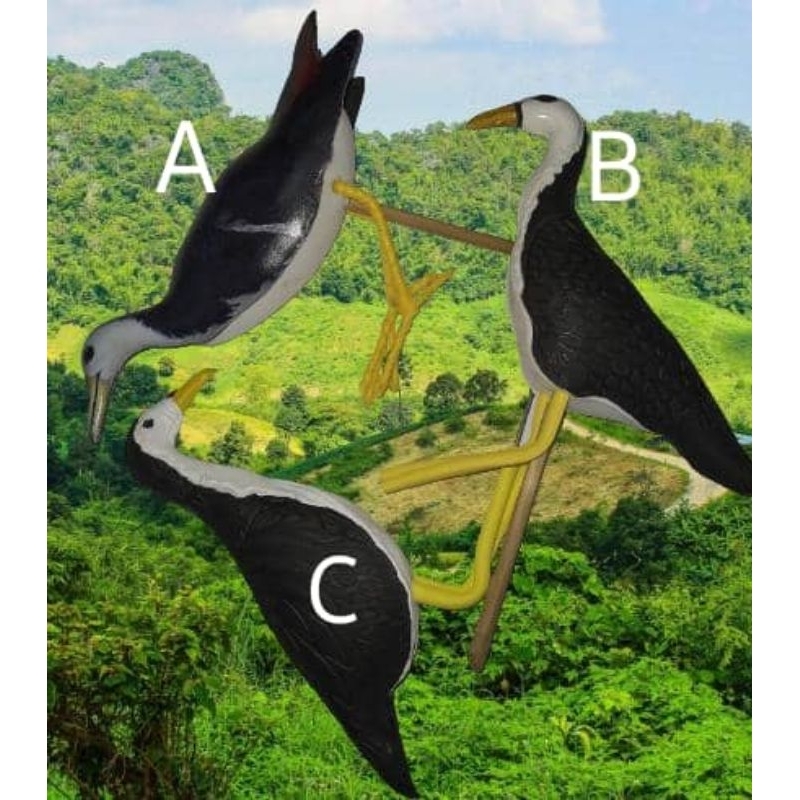 DECOY BIRD WAK WAK NODGET STATUE RUAK STATUE WAK2 STATUE