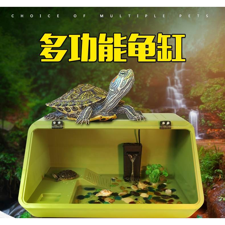 Turtle Aquarium Tank 多功能