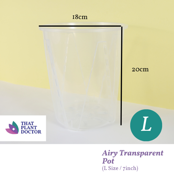 หม้อโปร่งใส (L ขนาด / 7 นิ้ว) (Diamenter 18cm x สูง 20cm x ก้น 14cm)