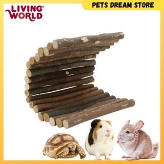 Living World Tree House บ้านเต่าไม้จริง ซ่อนจิ้งจก ขนาด S M L