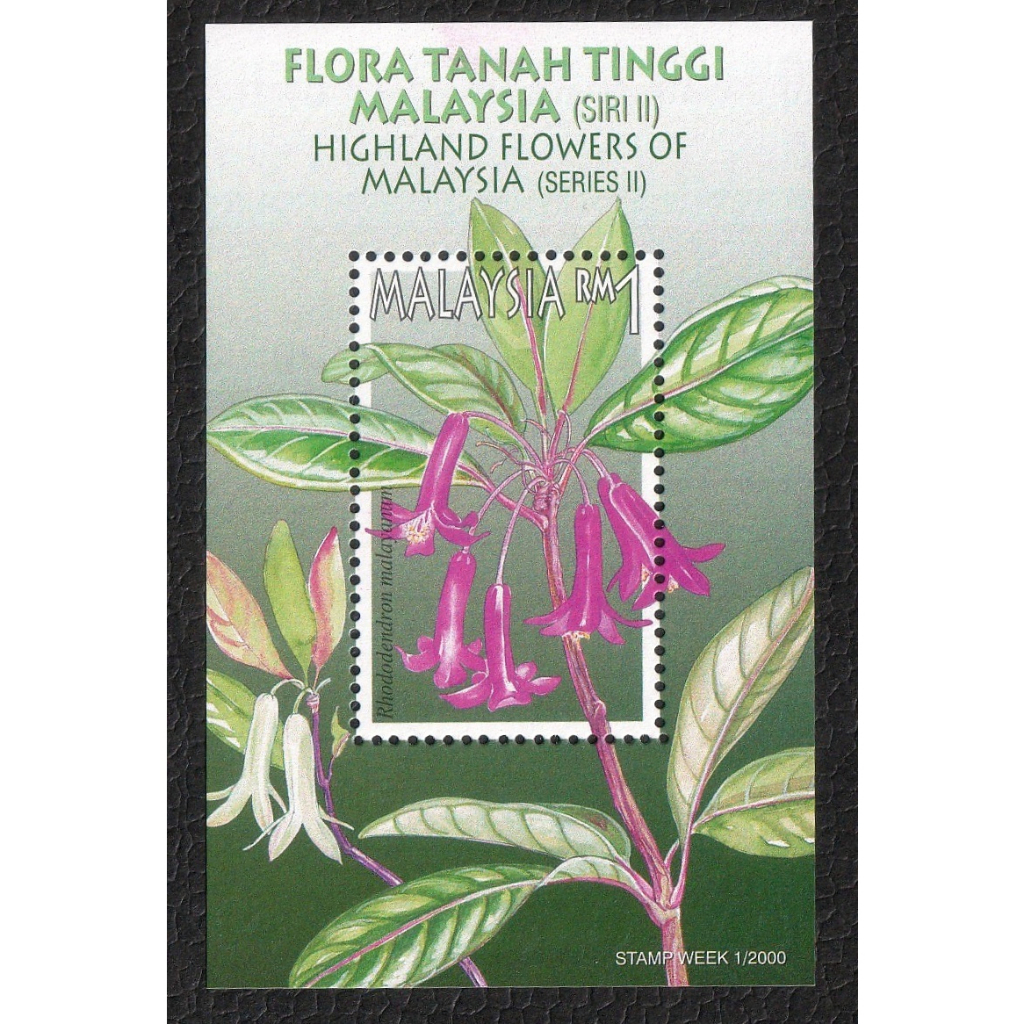 2000 MY Stamp Week 2000 - ดอกไฮแลนด์ (Series II) มิ้นท์ MS