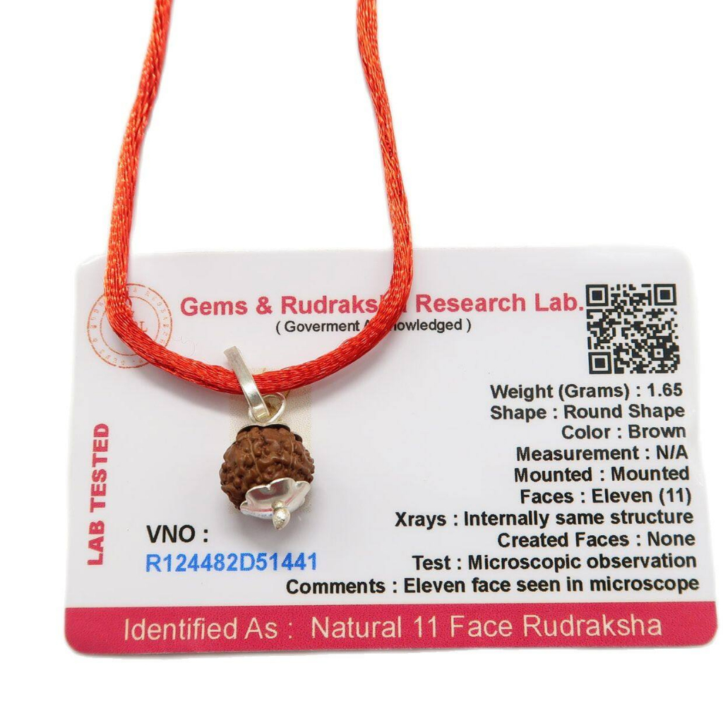 11 Mukhi (11 Face) ลูกปัด Rudraksha ที่ผ่านการรับรอง Lab พร้อมด้ายแดง