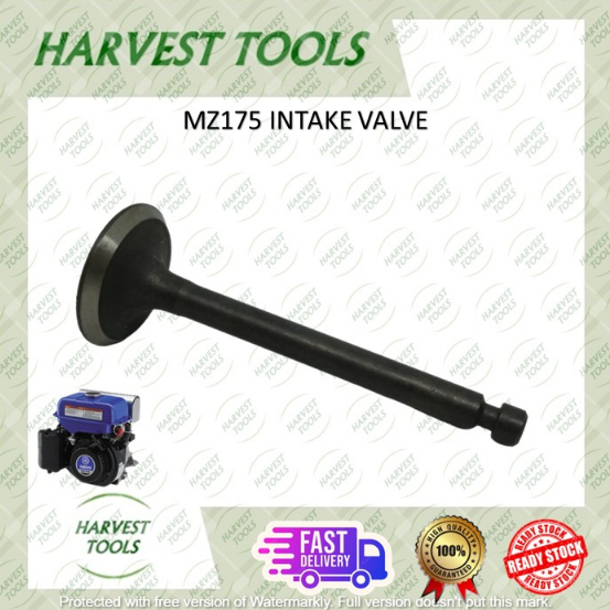 MZ175 วาล์ว EXHAUST*