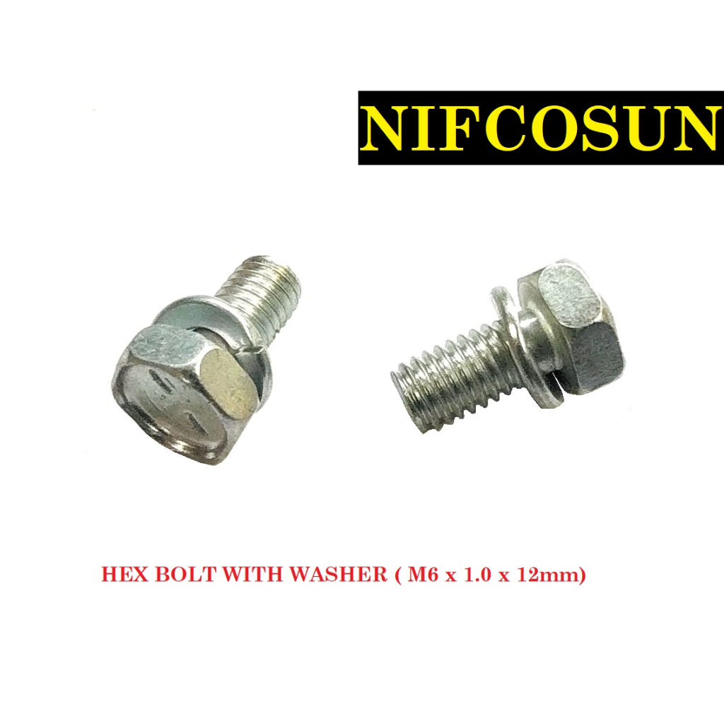 10PCS HEX BOLT WITH WASHER (M6 x 1.0 x 12mm)