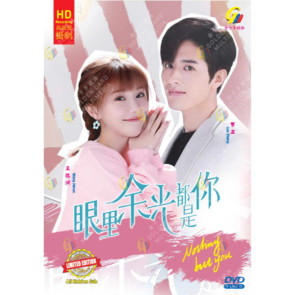 HD DVD Drama Nothing But You 眼里光 Acupion Vol.1-24 End (2022)