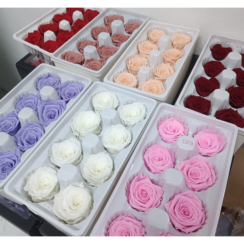 กุหลาบแช่อิ่ม 8 ชิ้น (เกรด A) 4-5 ซม. Bunga Surprise Bouquet วาเลนไทน์ Hadiah