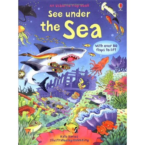 !!!ใหม่!!! Usborne See Under the Sea