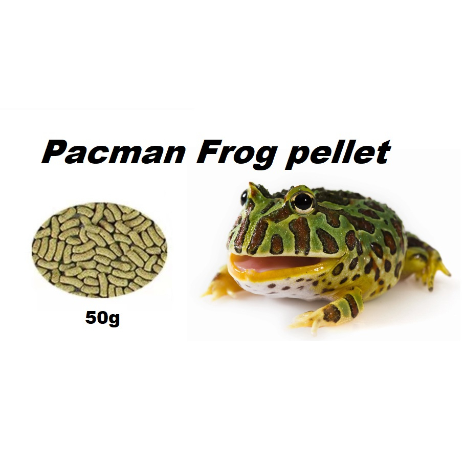 Pacman Frog เม็ด 50g WEST ONLY