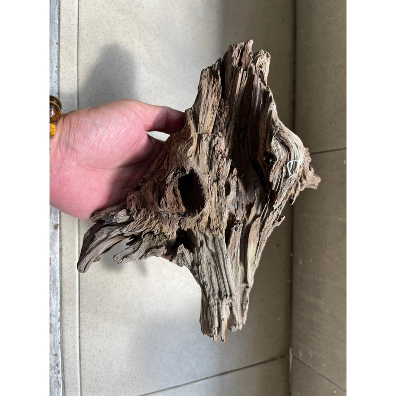 Driftwood Aquascape เสนอ