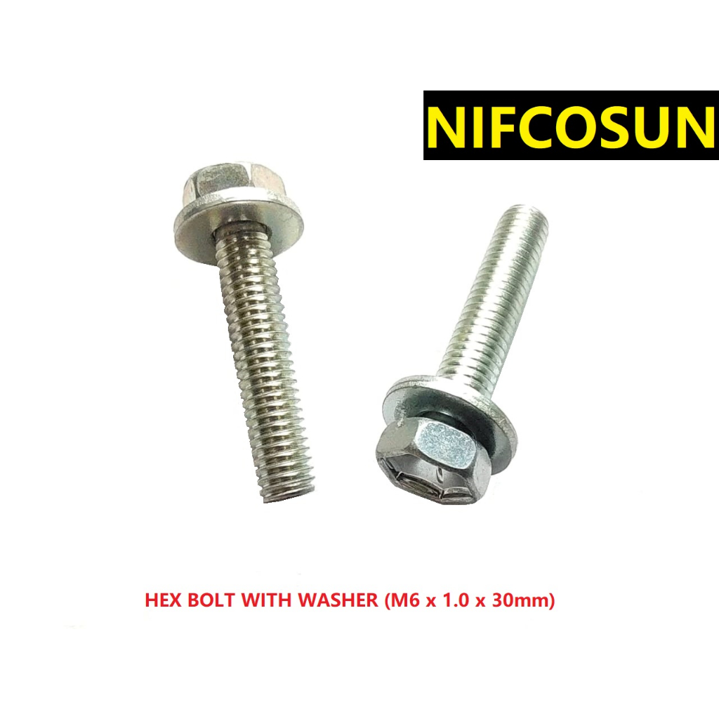 BOLT HEX WITH WASHER (M6 x 1.0 x 30mm)