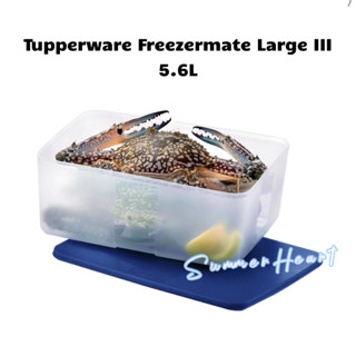 TUPPERWARE ทัปเปอร์แวร์ Freezermate ขนาดใหญ่ III 5.6 ลิตร -1 ชิ้น