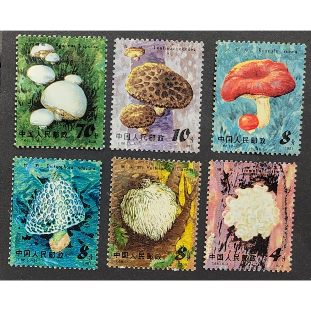 T66 食用 โฟมล้างมือ , MINT, COMPLETE SET , FOXING