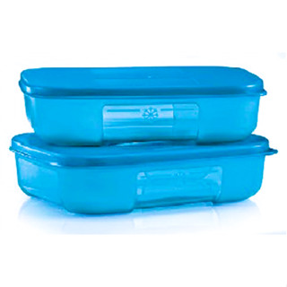 TUPPERWARE ทัปเปอร์แวร์ ช่องแช่แข็ง ขนาดเล็ก 250 มล. 2 ชิ้น