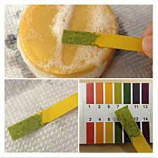 กระดาษ Ph Kertas Litmus Test Air Kolam Renang PH Litmus Paper Ph Test Strips Water Cosmetics Soil PH