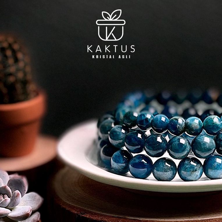 Kaktus Kristal Blue Apatite สร้อยข้อมือคริสตัล สําหรับการสื่อสารและความคิดสร้างสรรค์