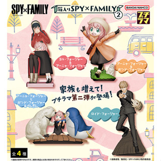 [Megahouse] ชุดกล่อง Megahouse Petitrama Series Spy x Family Vol 2 กล่อง