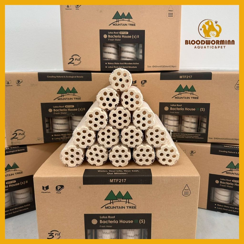 Mountain Tree Lotus Root Bacteria House Gen lll(3) [SIZE S] --PER ROLL