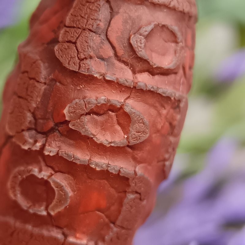 21.7 มม.X 13.7 มม.รูปแบบมังกร Nine-Eyed Dzi Bead Collection Nine-Times Moral Mercy Growth ผู้แต่ง Ob