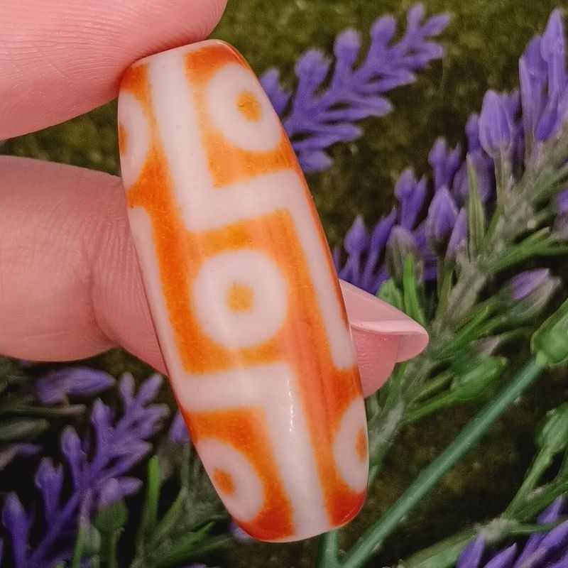 39.2 มม.x 13.9 มม.ใบรับรอง Dragon Scale Phoenix เลือดหยกสีแดงเก้าตา Dzi Supreme Noble สไตล์ U Compas