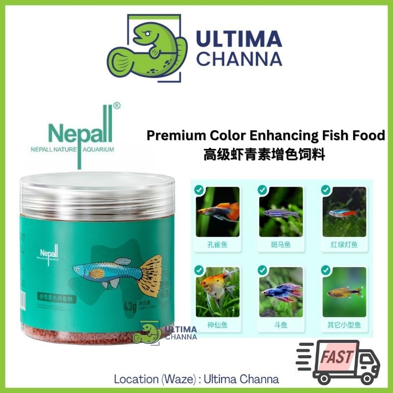 เนปาล Premium Astaxanthin Color Enhancing Fish Food - อัพสี, naik warna ikan hias พิพิธภัณฑ์สัตว์น้ํ