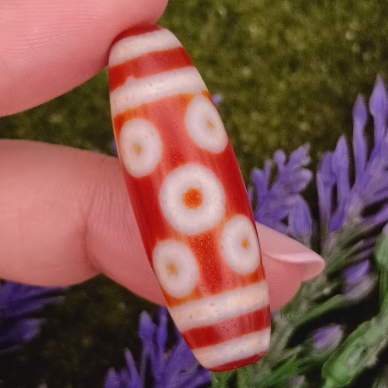 39.4mmX12.9mm ใบรับรอง Dragon Scale Phoenix Blood แปดตา Dzi ทั้งหมด Smooth Noble และความมั่งคั่งแปดม