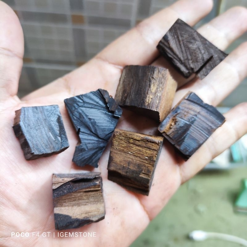 Cut Core Gemunggal kelor bukit