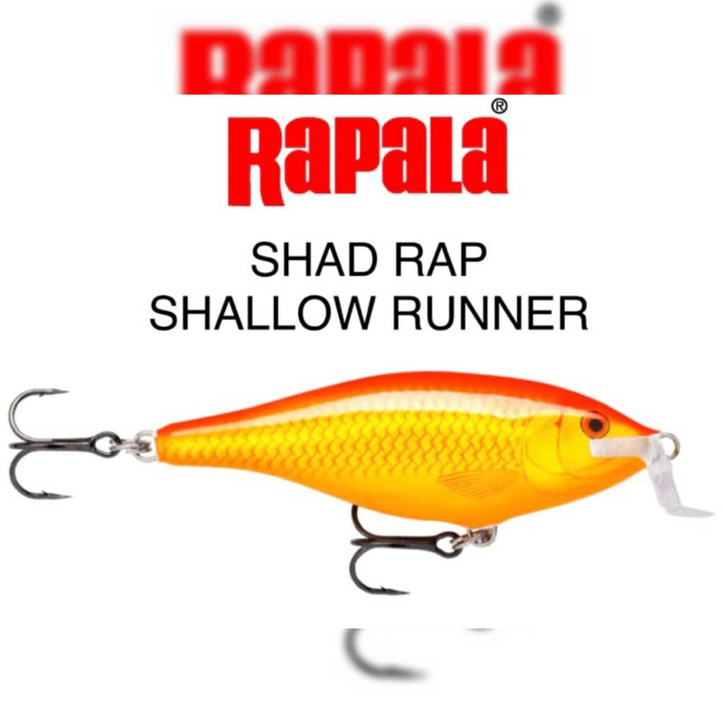 เหยื่อล่อปลา Rapala Shallow Shad Rap SSR-5 Lure SSR05 SSR5