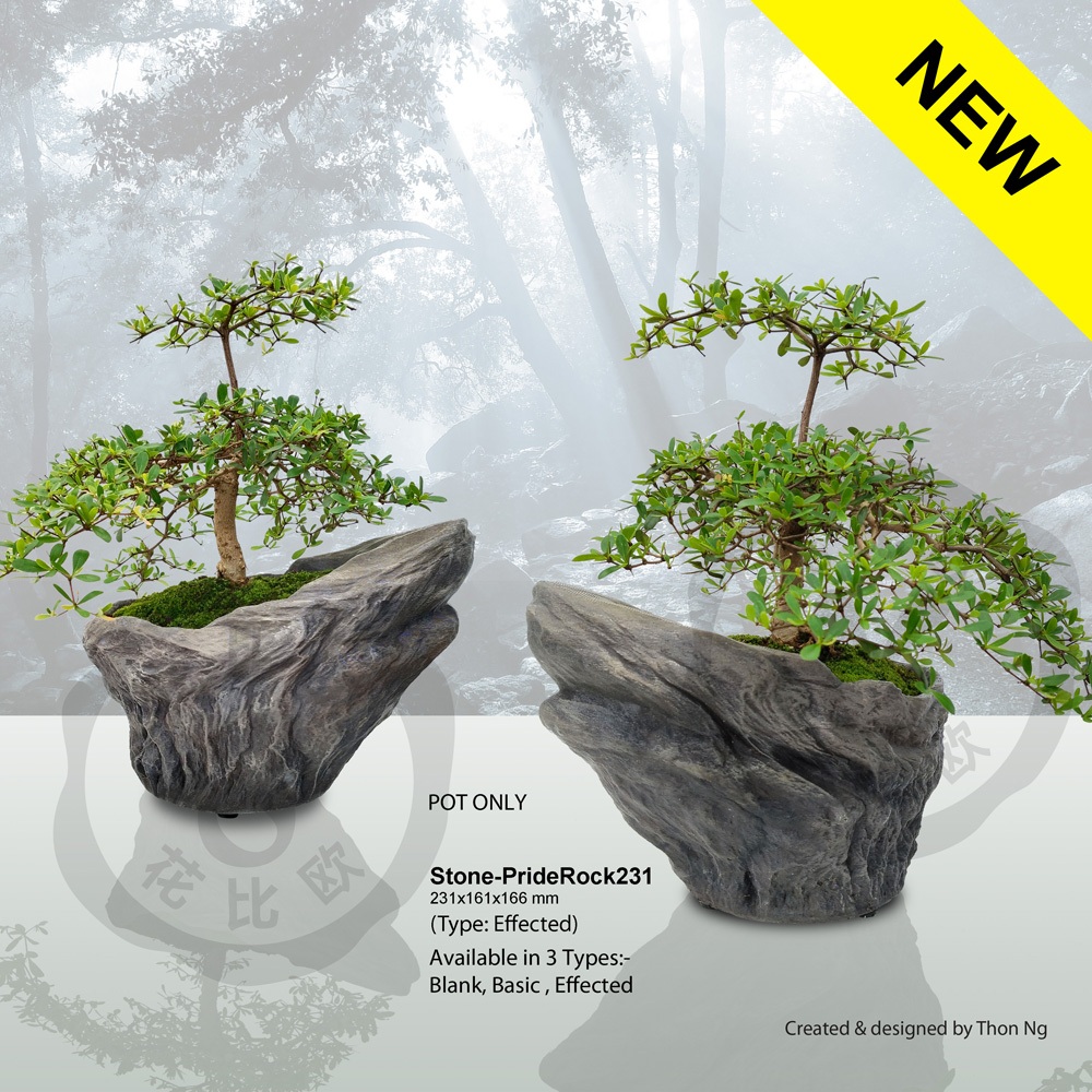 Garden lab (หม้อ 3D), ST1-PR-346, 35W x 24L x 16-25H cm PrideRock 岩石盆 v1(ดูเหมือน) flwr,bonsai (POT 