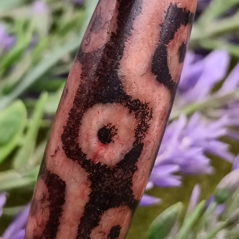 37.6 มม.X 11.2 มม.Cinnabar Nine-Eyed Dzi Collection Nine-Times Merities Growth ผู้แต่งที่มองเห็นได้S