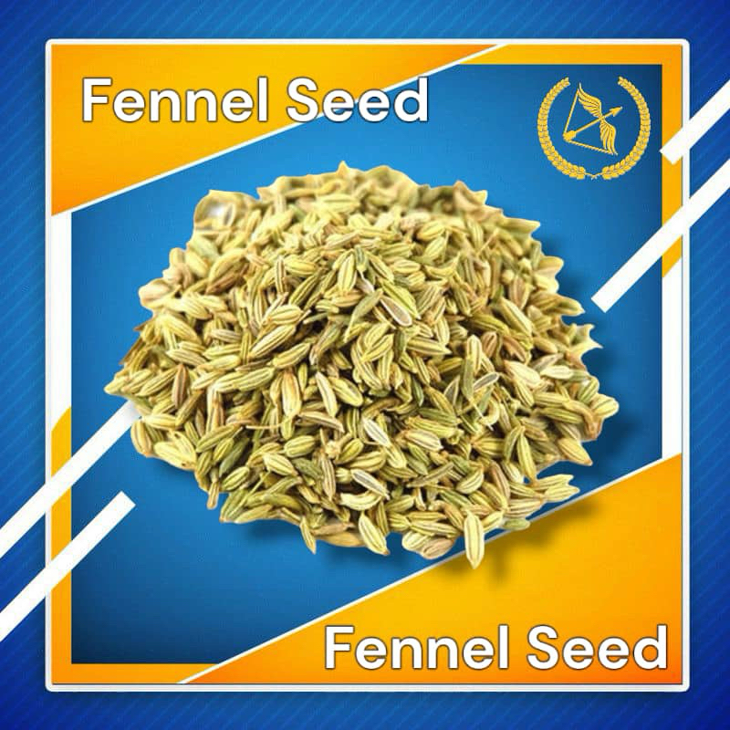 เมล็ด FENNEL 1 กก./JINTAN MANIS