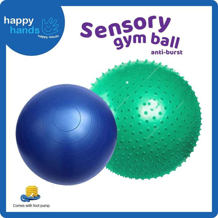 Sensory Gym Ball สําหรับการออกกําลังกายกล้ามเนื้อ Core & Vestibular