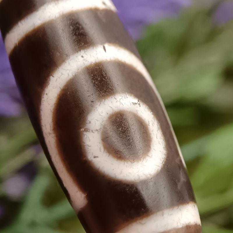 36.5 มม.x 12.8 มม.หญ้าน้ํา Agate Two-Eyed Dzi ลูกปัดสองตาหยกต้นไม้ซับสาขาครอบครัว Perfect คู่ Harmon