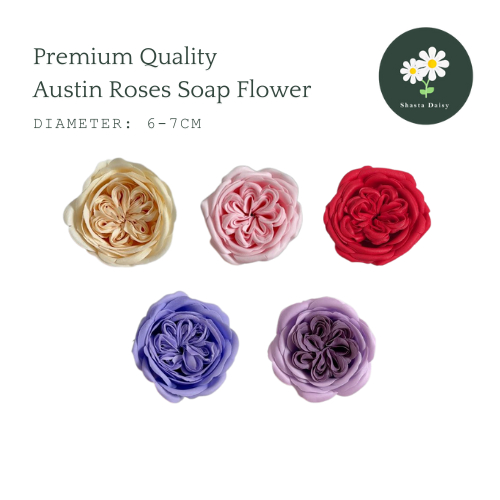 ดอกไม้สบู่ Austin Rose คุณภาพระดับพรีเมียม Austin Rose ดอก Sabun Austin 花语 护爱的 (ต่อชิ้น)