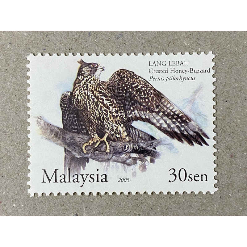{JK} 2005 - 30sen แสตมป์หลวม Crested Honey-Buzzard MNH