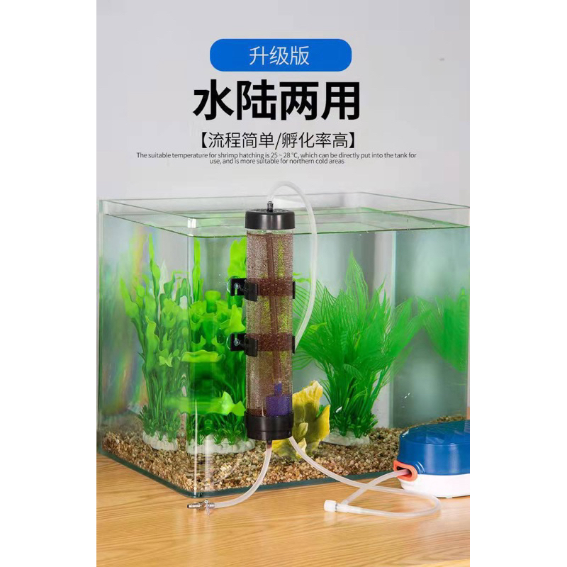 BBS Artemia Eggs Incubator Eggs Incubator Hatchery Artemia Eggs สําหรับ Aquarium Brine ไข่กุ้ง