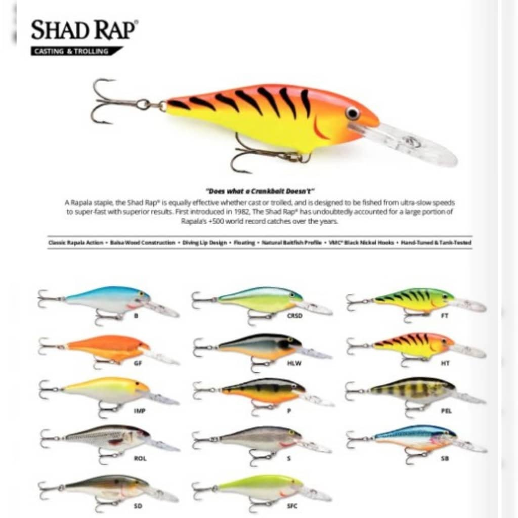 Rapala Shad Rap SR-7 Deep Runner Lure SR07 SR7