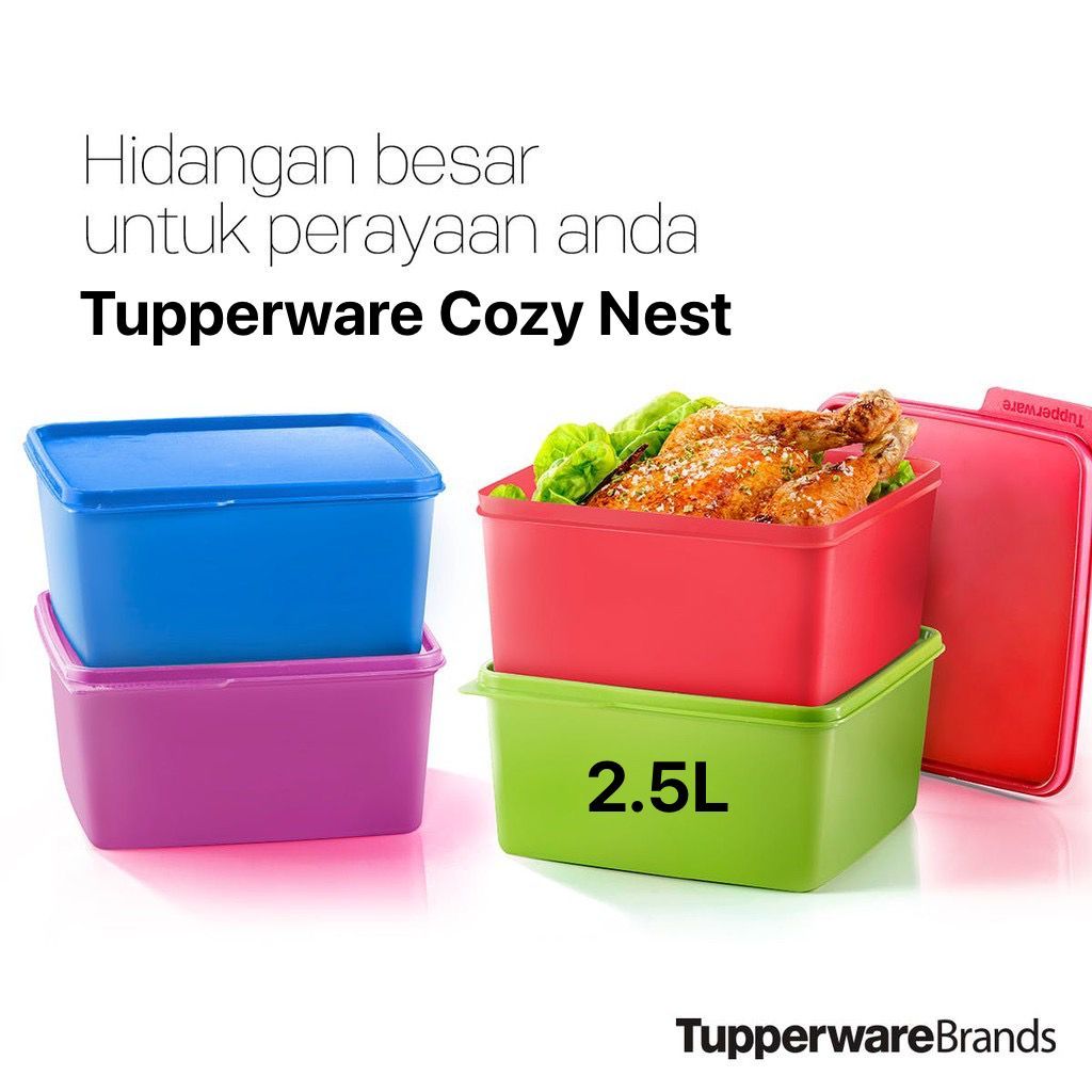 2008 Tupperware Snack N Stack 2.5L/ Tupperware Cozy Nest 2.5L