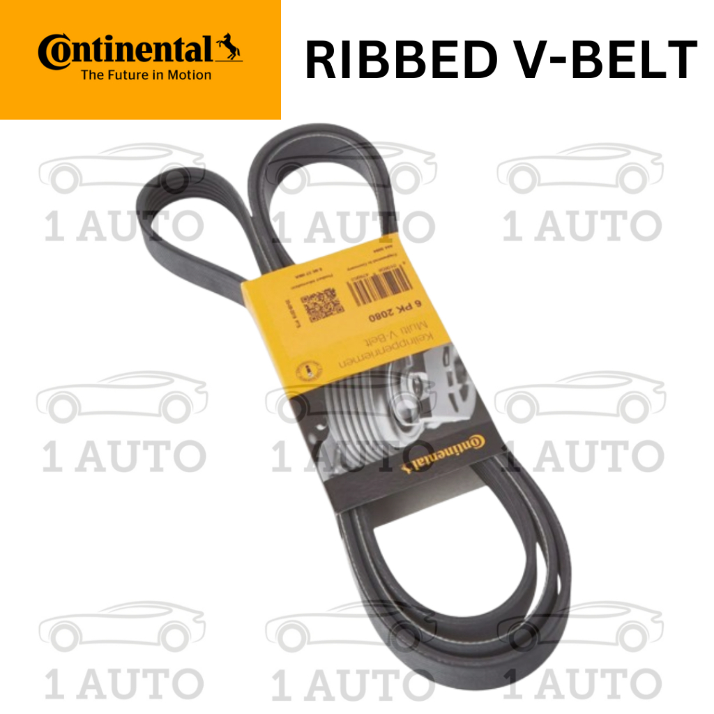 CONTINENTAL GERMANY RIBBED V-BELT BMW E60 520d 530d E66 730Ld E53 3.0d E83 2.0d M47 M57 เครื่องยนต์ด
