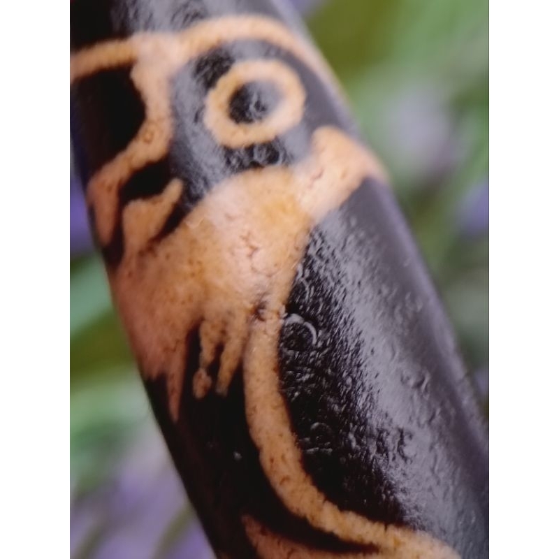 39.- มม. X 12.4 มม. 老 神天珠 Condor ใหม่ Dzi CW3343