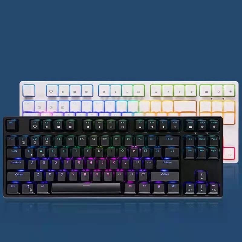[Hot Swappable] Royal Kludge RK987 RGB Real Mechanical Keyboard Wireless TKL 80% RK Sink 87 G RK 987