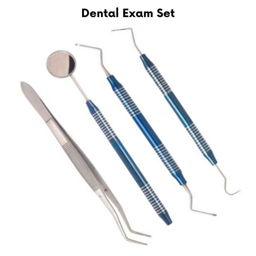 4 ชิ้นชุดเครื่องมือทันตกรรมเกรดทางการแพทย์สแตนเลสทันตกรรมสอบ Probe ชุดเครื่องมือทําความสะอาดฟัน Oral