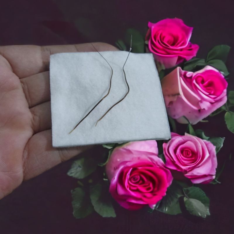 ขนนกคู่!Ndu Misai Adam ย้ายในน้ํา