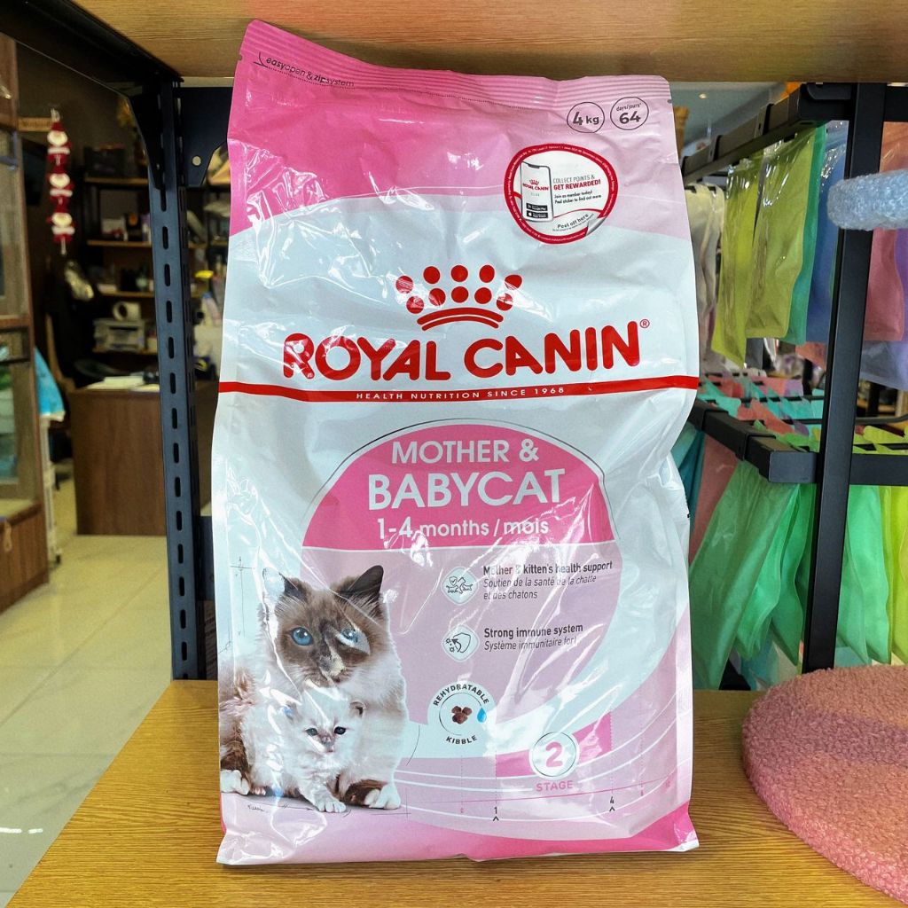 Royal Canin อาหารแมวสําหรับแมว