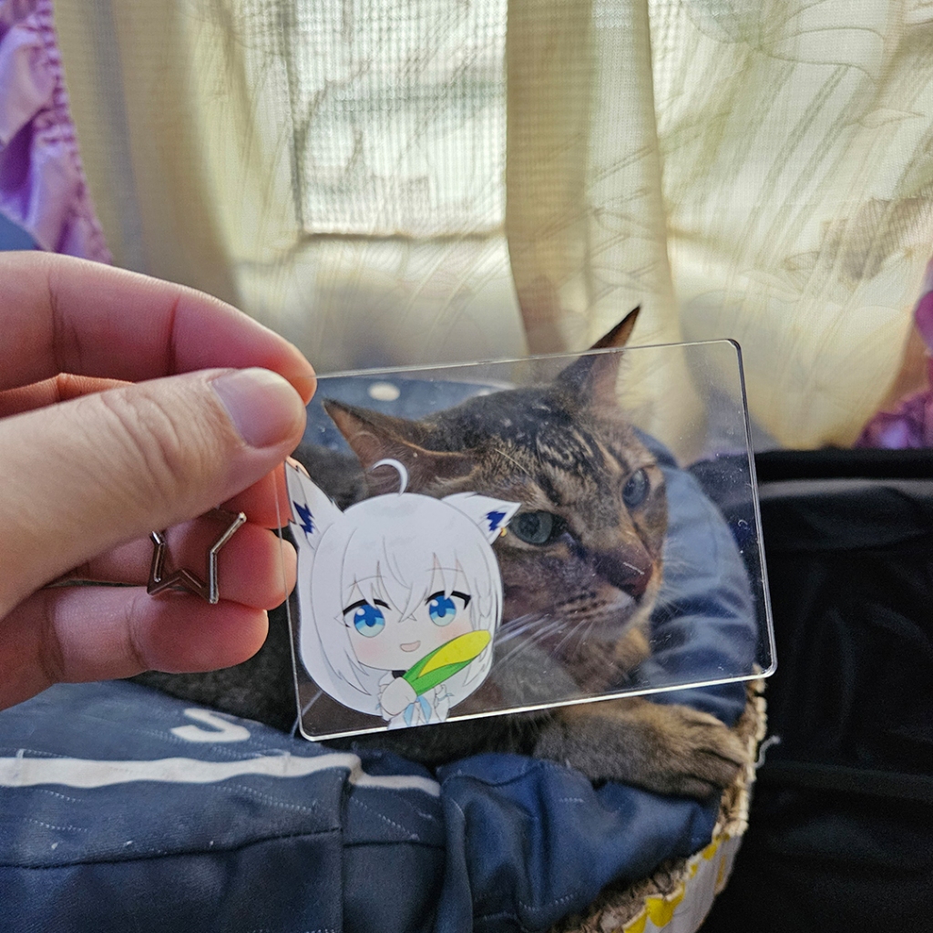 การ์ดโค้งข้าวโพด (Shirakami Fubuki Hololive)