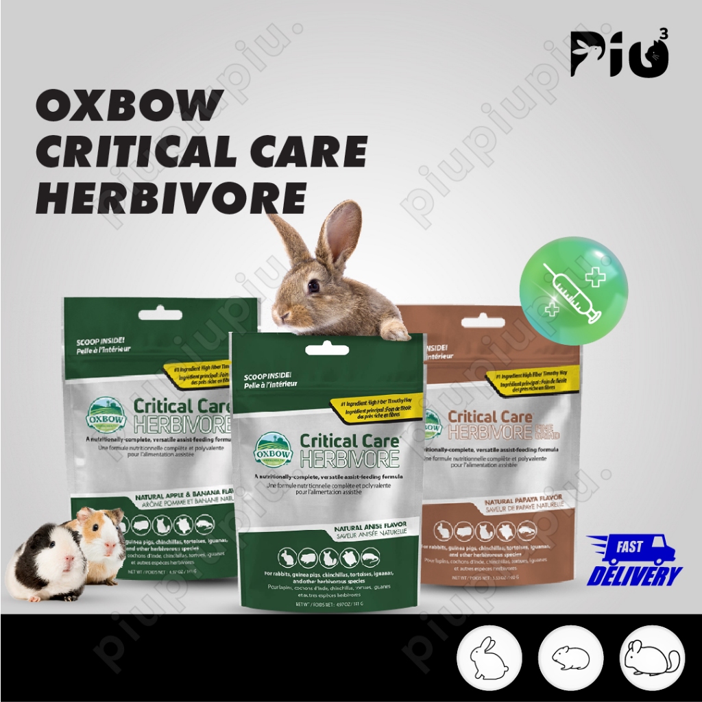 [24HR SHIP] OXBOW CRITICAL CARE HERBIVORE 141g 454g Anise Apple รสกล้วย กระต่าย หนูตะเภา ชินชิล่า 天 