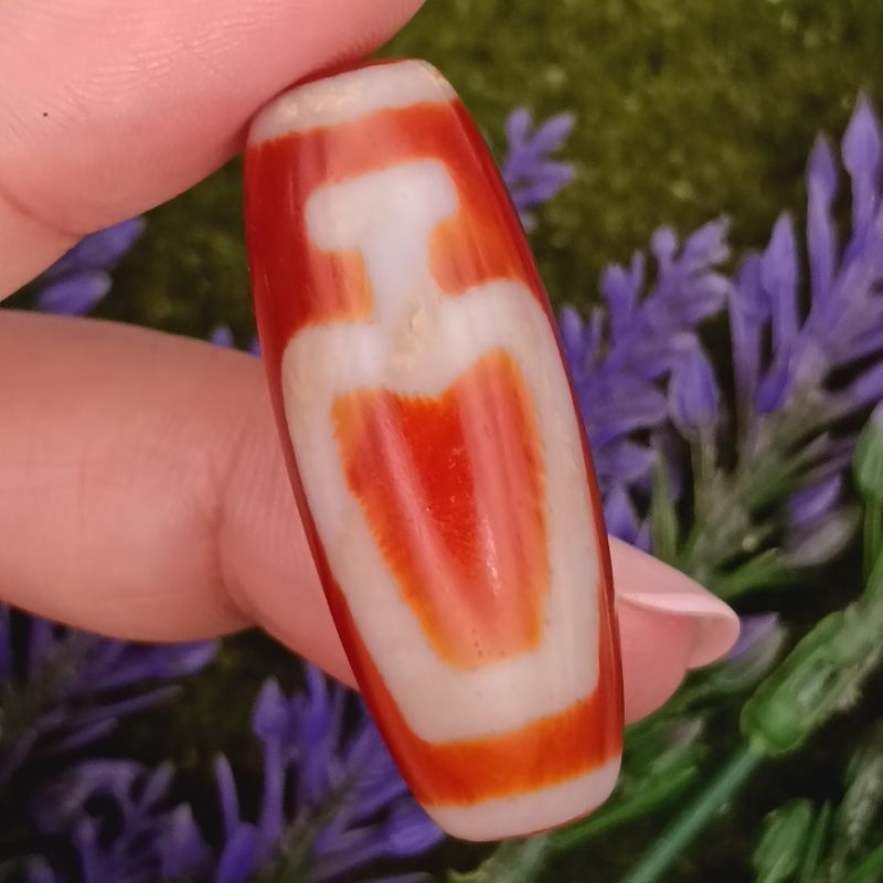 39.- มม. x 15.1 มม. 书 龙 血压瓶天珠 น้ําหวาน Vessel Dzi แจกันสมบัติ Manik Dzi396 CW4