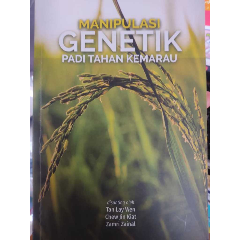 DURABLE RICE GENETIC MANIPULATION