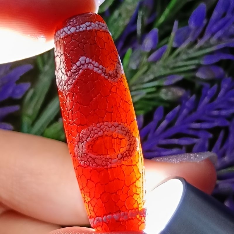 39.- มม. X 12.4 มม. อุปกรณ์บําบัดด้วยลูกปัดสําหรับสี่องค์ประกอบ (สี่คุณธรรม) Dzi CW4093