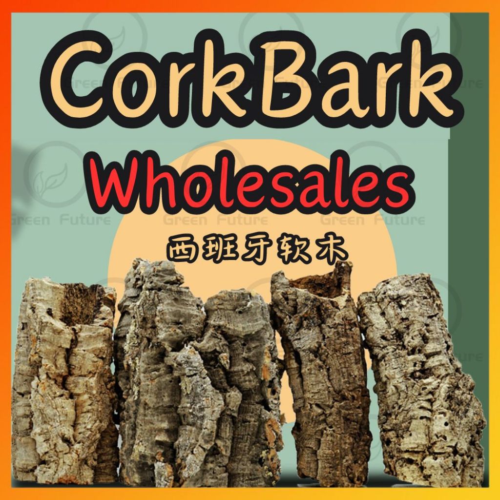 Corkbark CORK BARK สัตว์เลื้อยคลาน Bark ผ้าปูที่นอน Cork Habitat ต้นไม้ Bark Spider ไม้ตกแต่ง 皮树 西