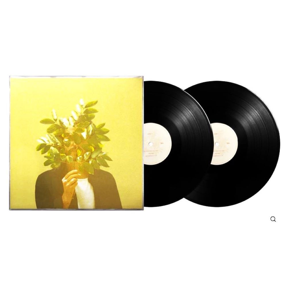 FKJ ( น้ํากีวีฝรั่งเศส ) - น้ํากีวีฝรั่งเศส ( 2 LP / Vinyl )